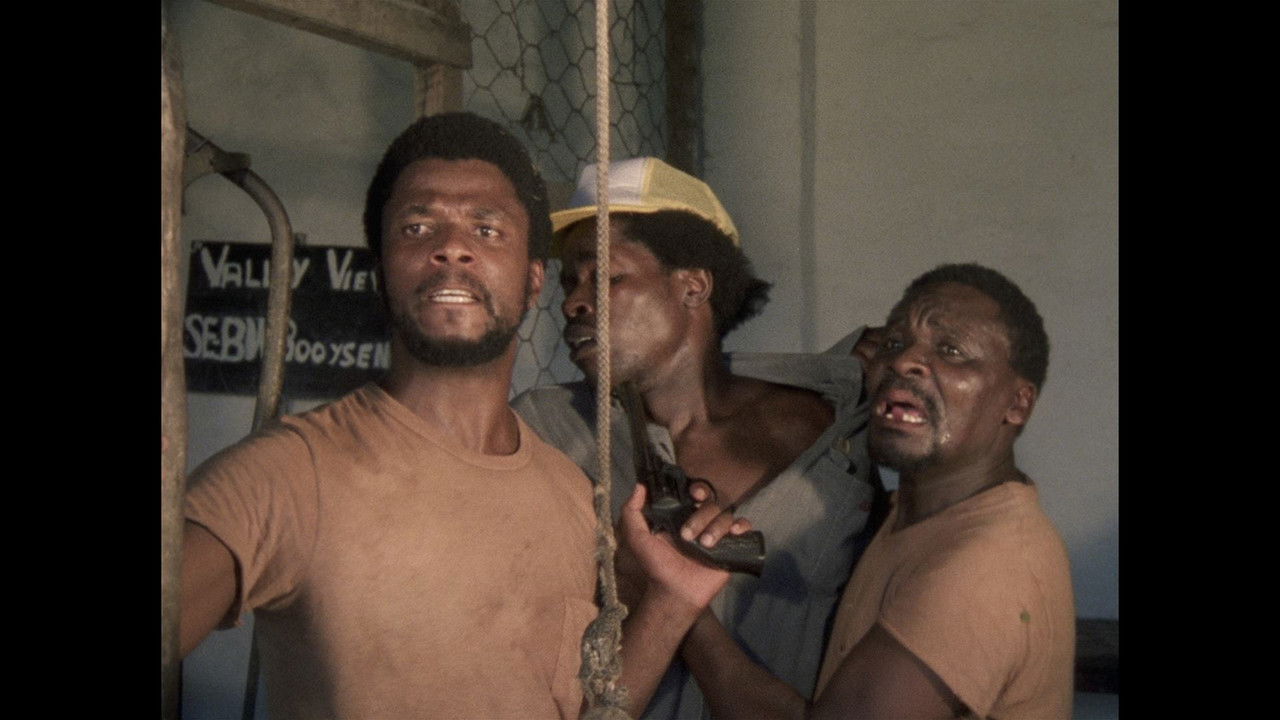 Fishy Stones backdrop