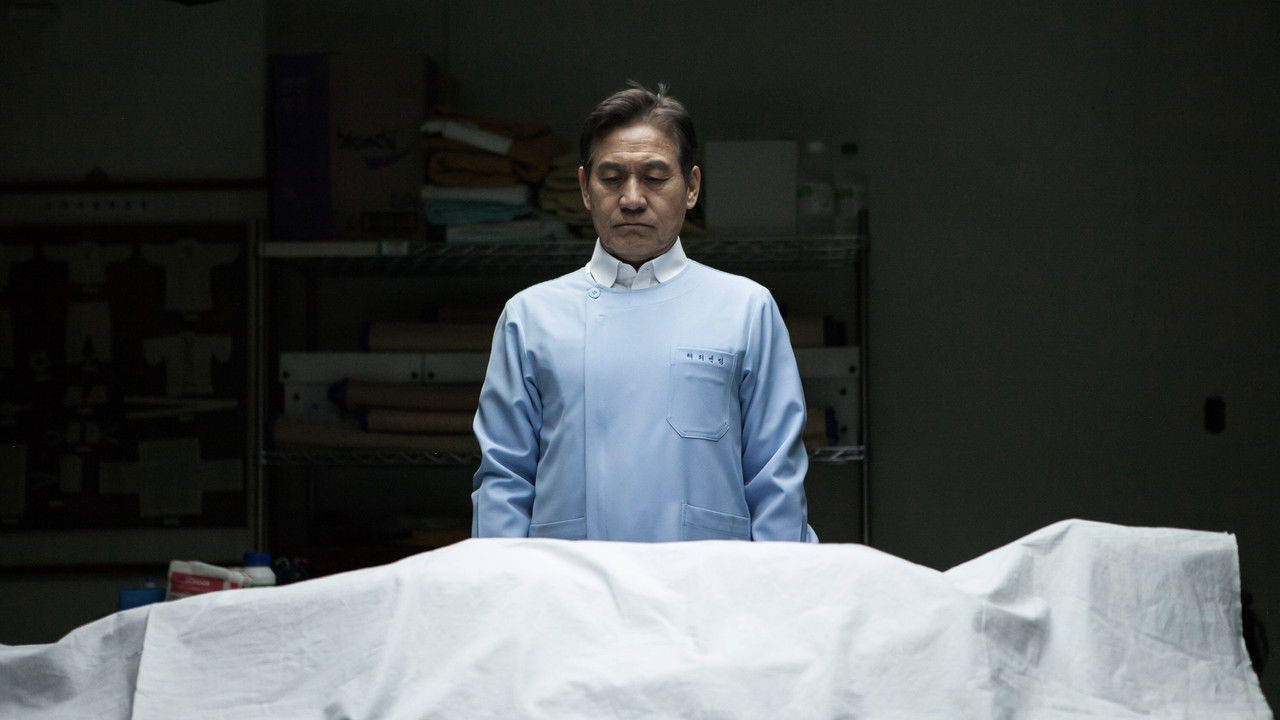 Paper Flower backdrop