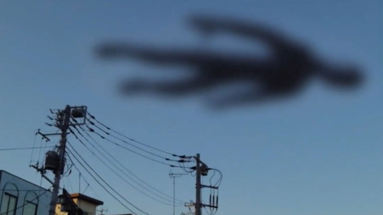 Simokita 2014 backdrop