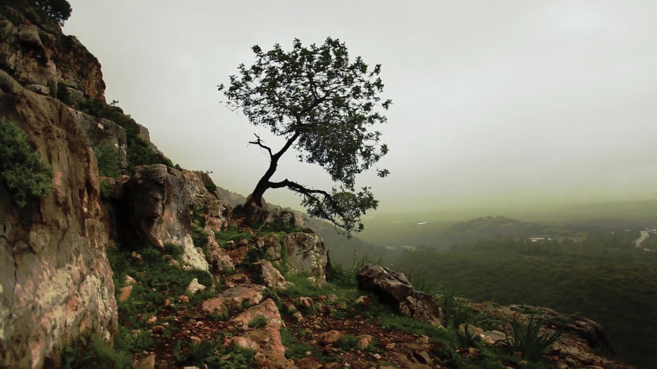 Is Mindfulness Right for You? backdrop