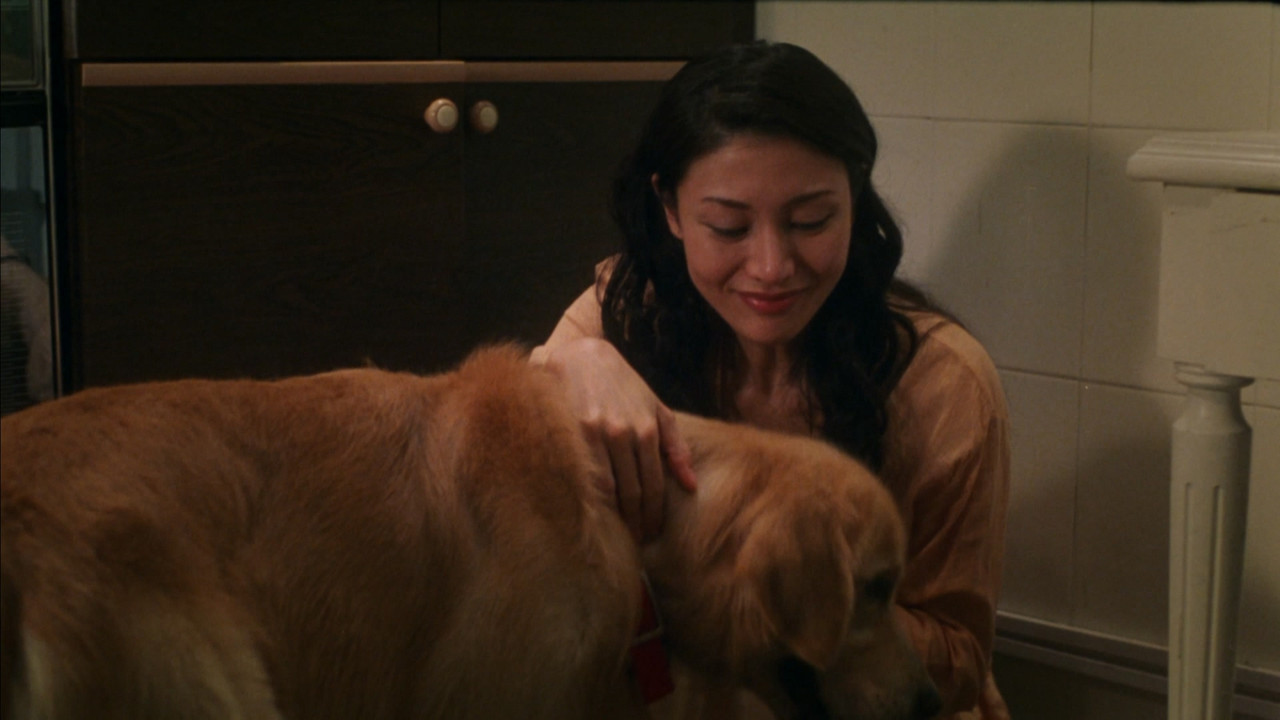 Every Dog Has His Date backdrop