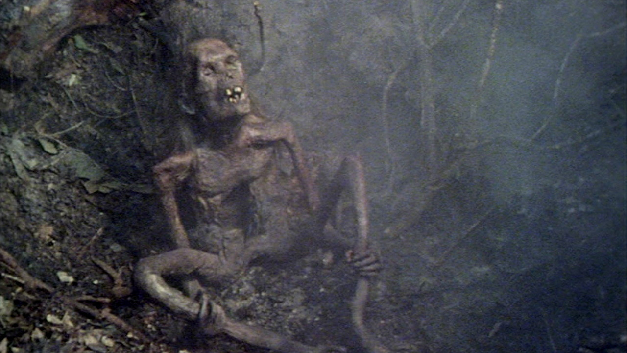 The Ash Tree backdrop