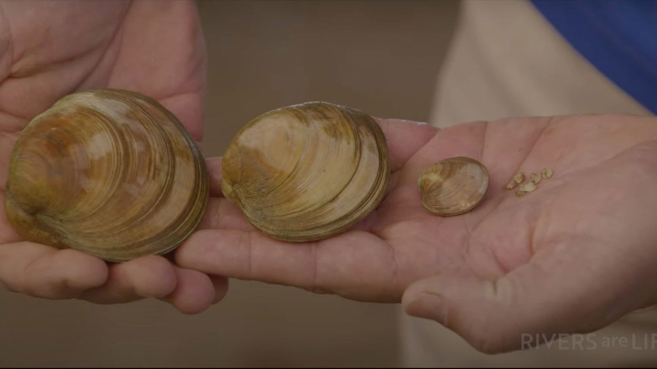 The Captain & The Super Clams backdrop