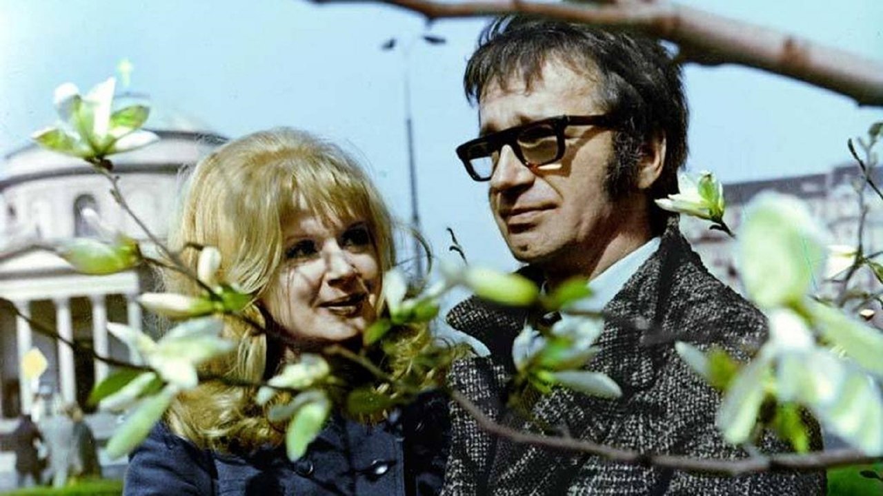 A Jungle Book of Regulations backdrop