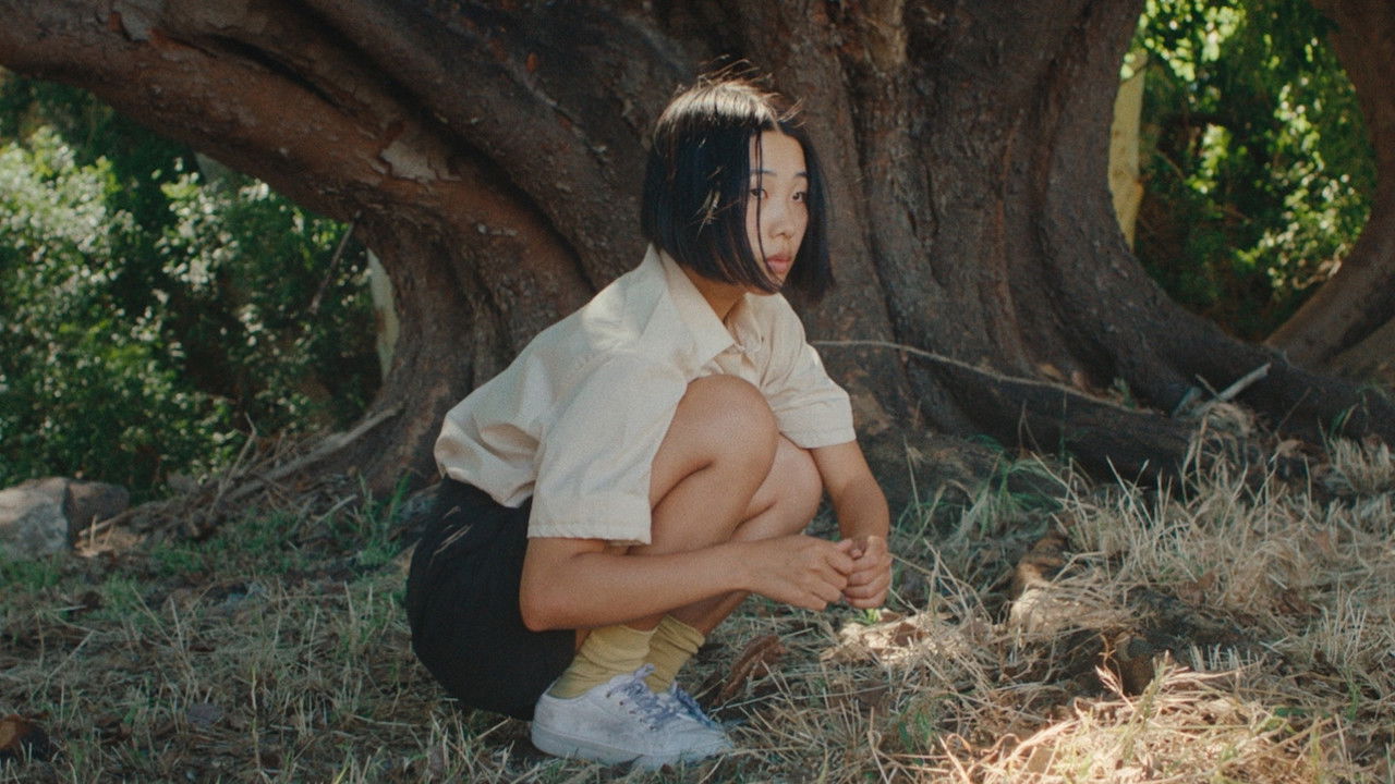 To Fly a Kite backdrop