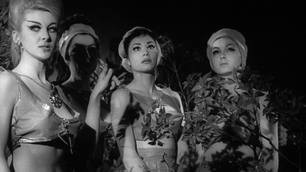 Pandora and the Magic Box backdrop