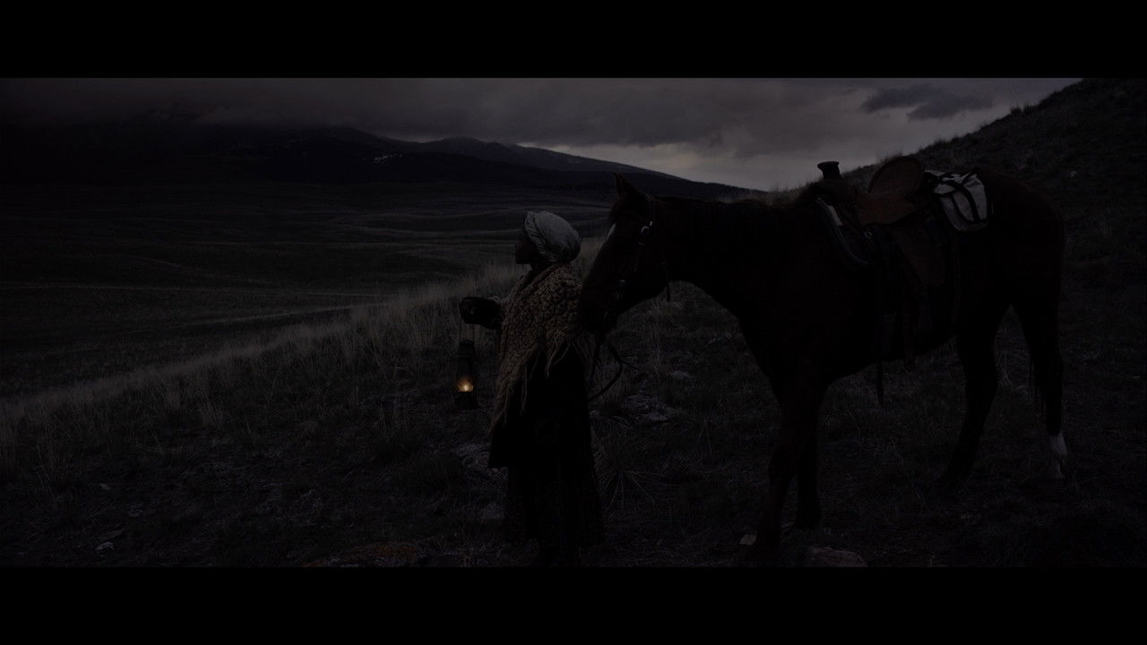 Ride By Night backdrop