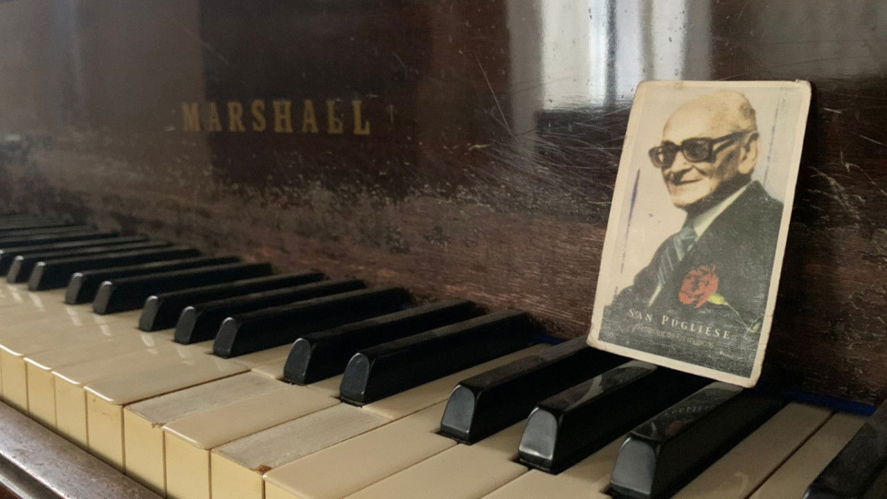 San Pugliese backdrop