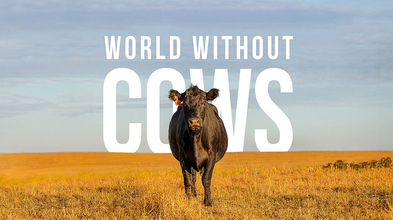 World Without Cows backdrop