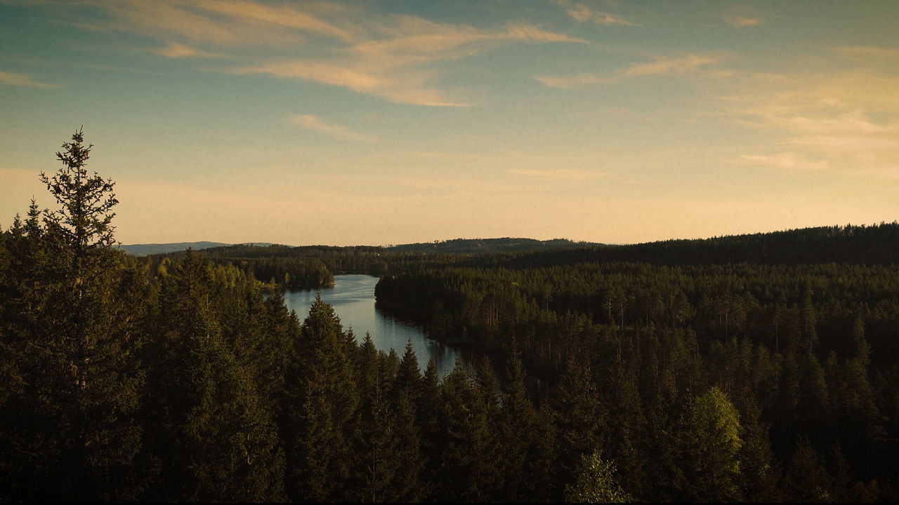 Shroud of Mist backdrop