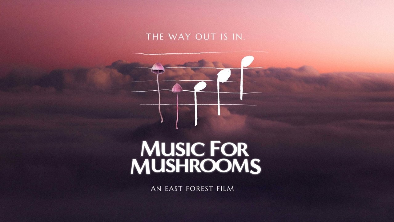 Music for Mushrooms backdrop