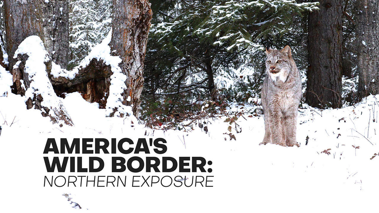 America's Wild Border: Northern Exposure backdrop