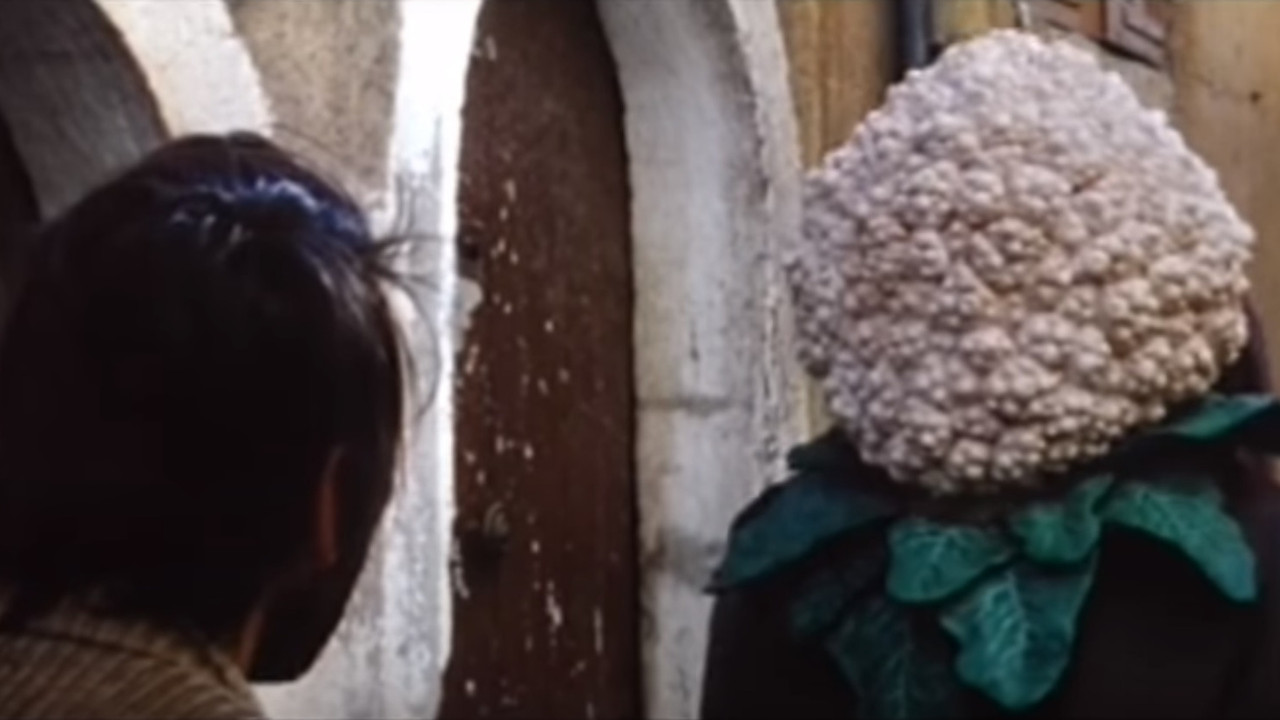 Tête de chou backdrop