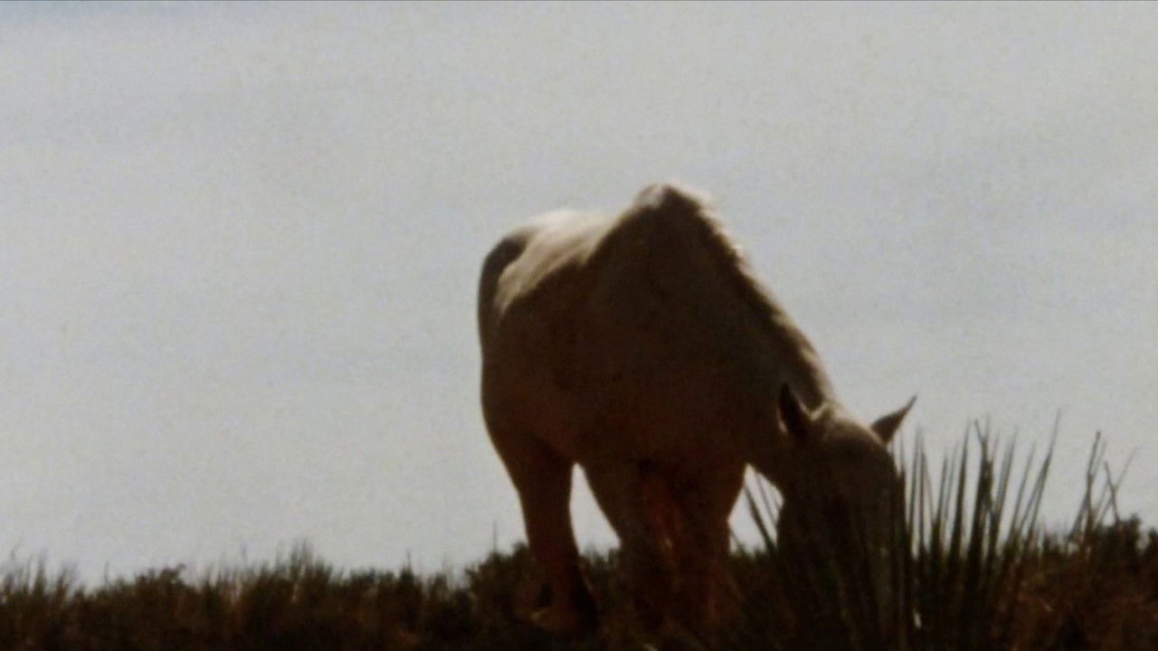 An Architecture of Desire backdrop