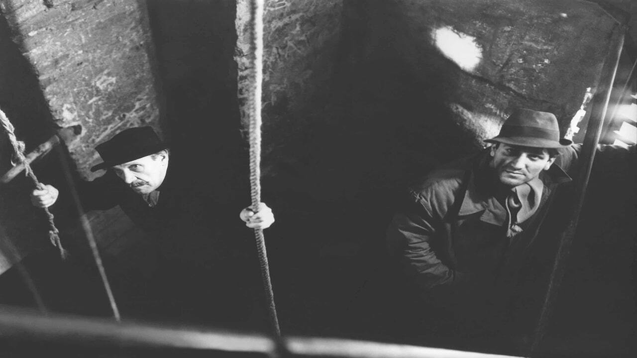 Double Circle backdrop