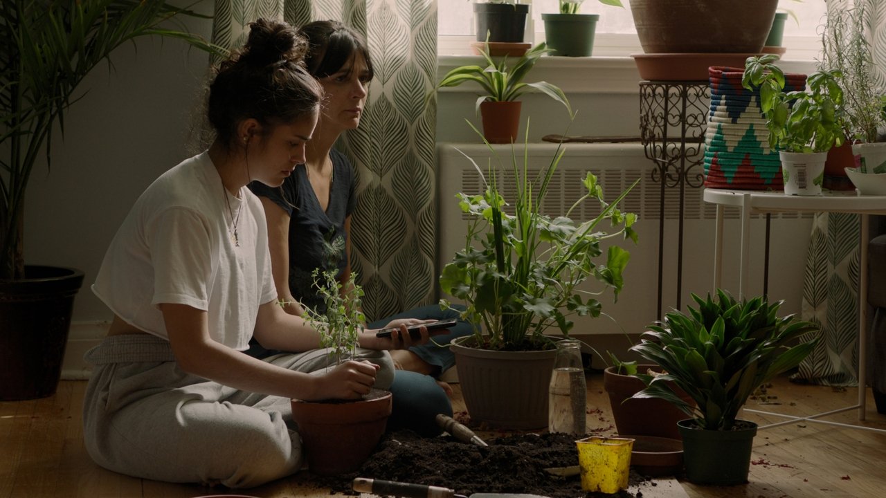 So Much Tenderness backdrop