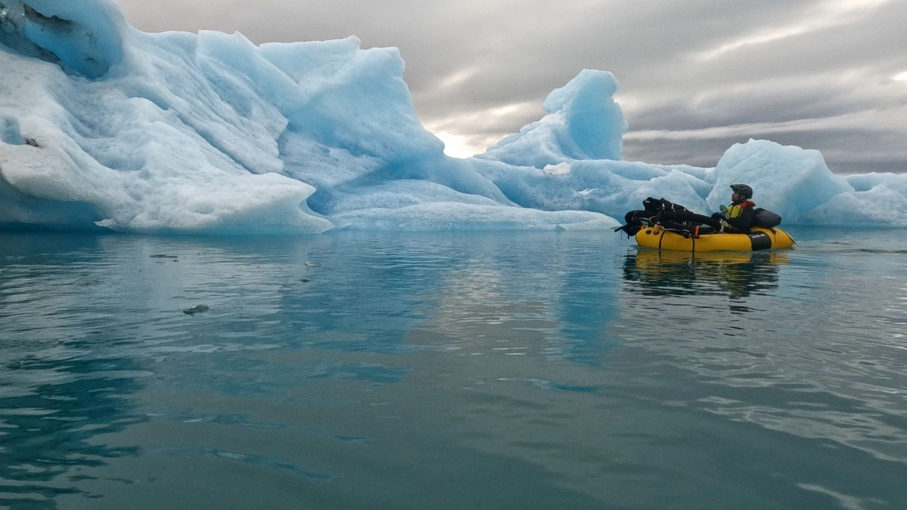 The Forgotten Coast backdrop