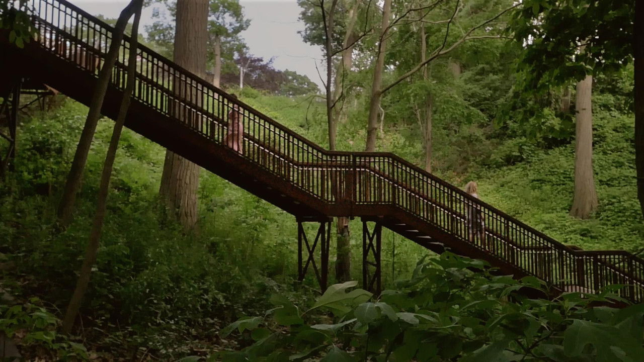 She Decided Not to Remember backdrop