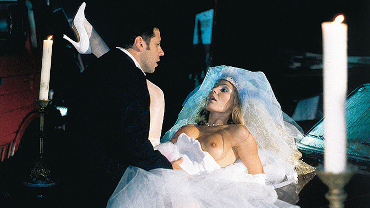 Laure Sainclair Infinity backdrop