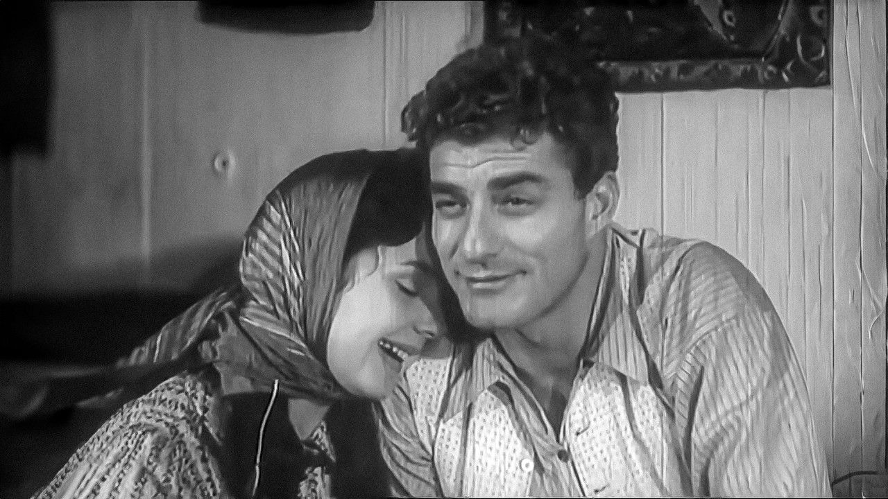 Bitmeyen Mücadele backdrop