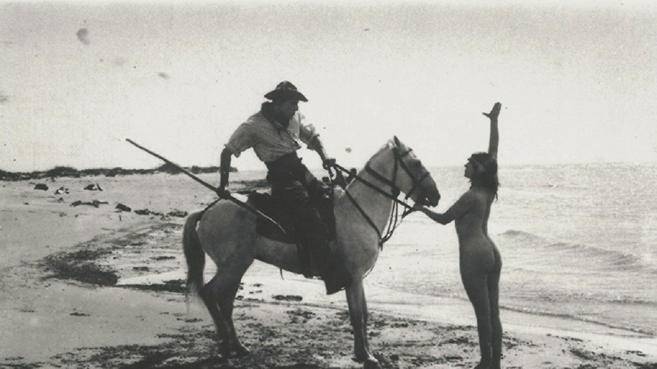 King of Camargue backdrop