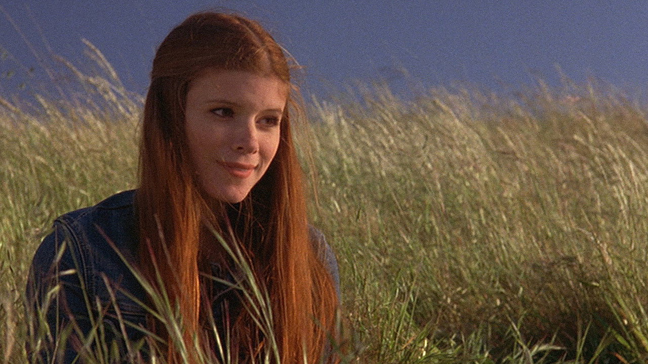 The Californians backdrop