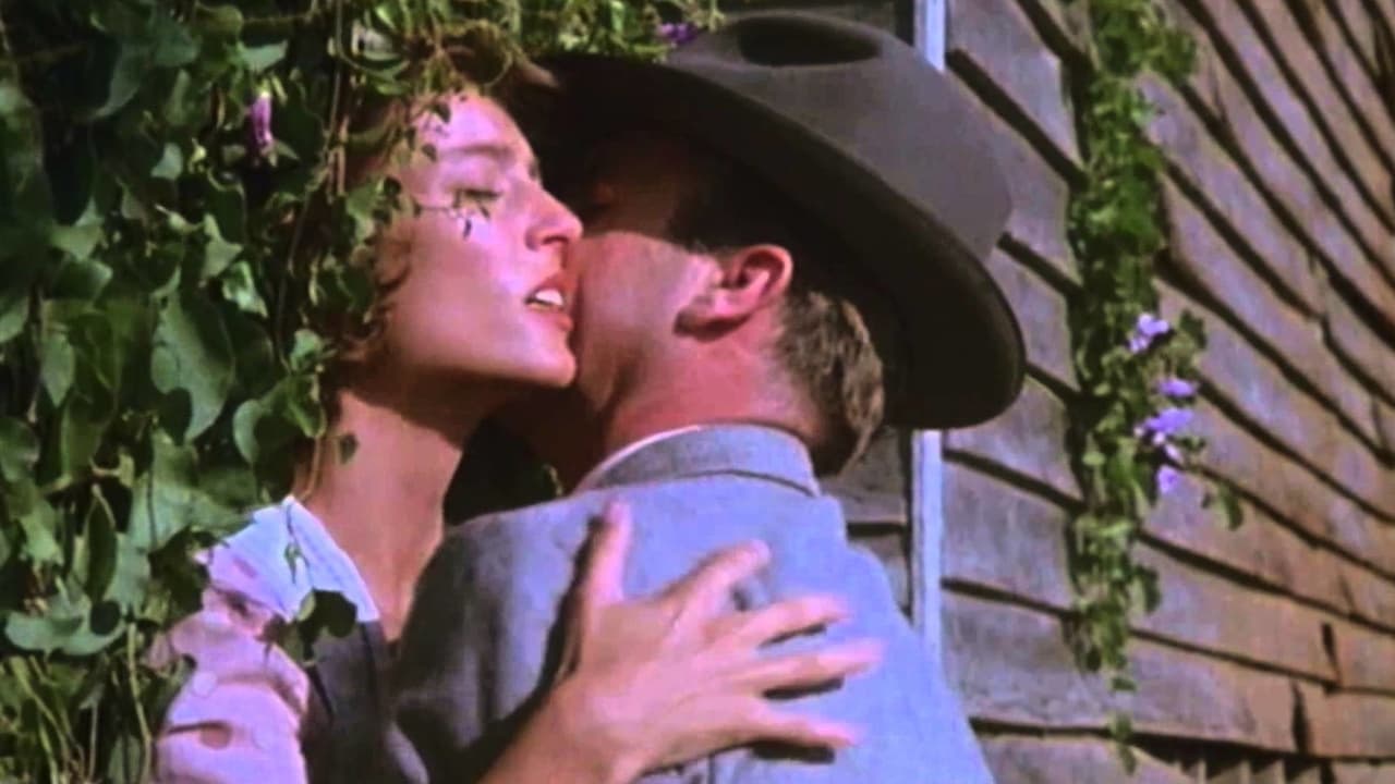 The Good Wife backdrop