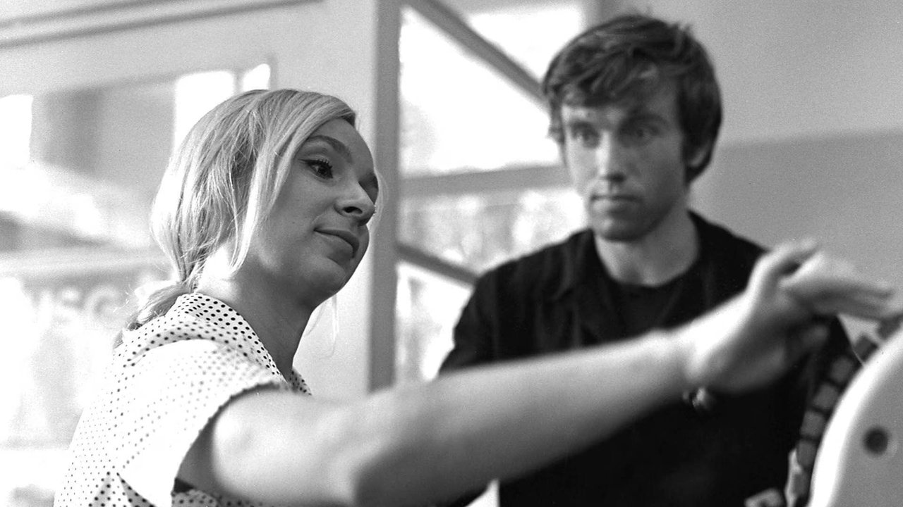 Standesamt - Eintritt frei backdrop