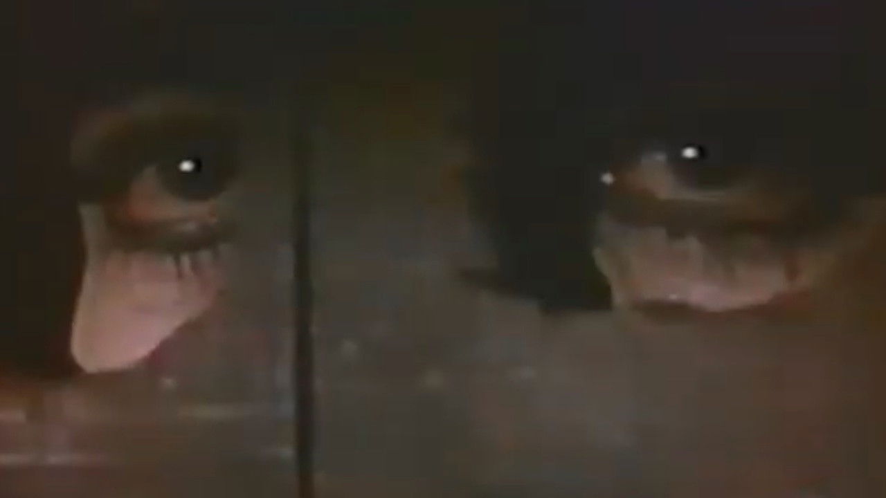 Infernal Death backdrop