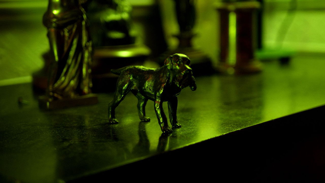 The Stowaway backdrop