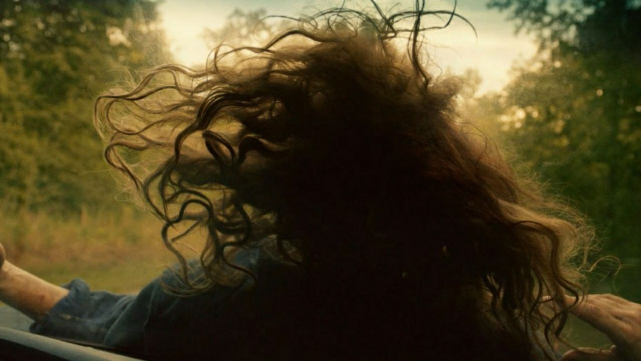 These Wild Things backdrop