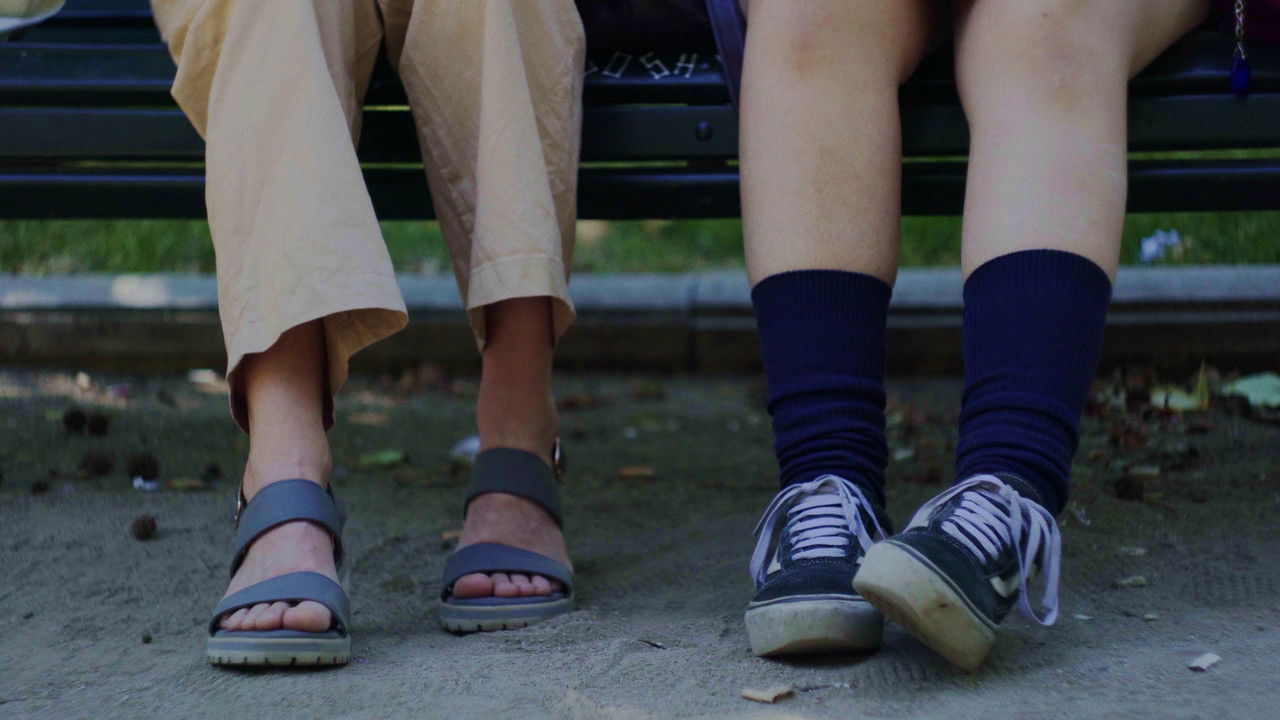 Poli en la ciudad backdrop