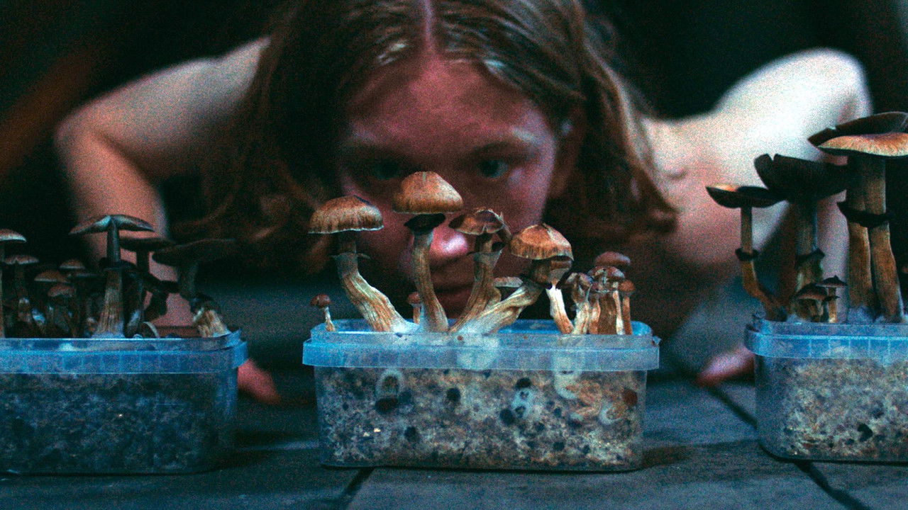 The Great Glitch / Children of Paradise backdrop