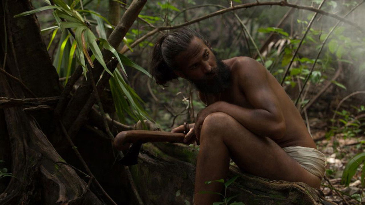 Entre dos mundos: La historia de Gonzalo Guerrero backdrop