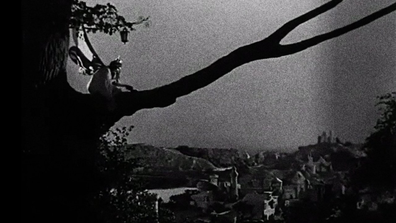 Enchantment backdrop