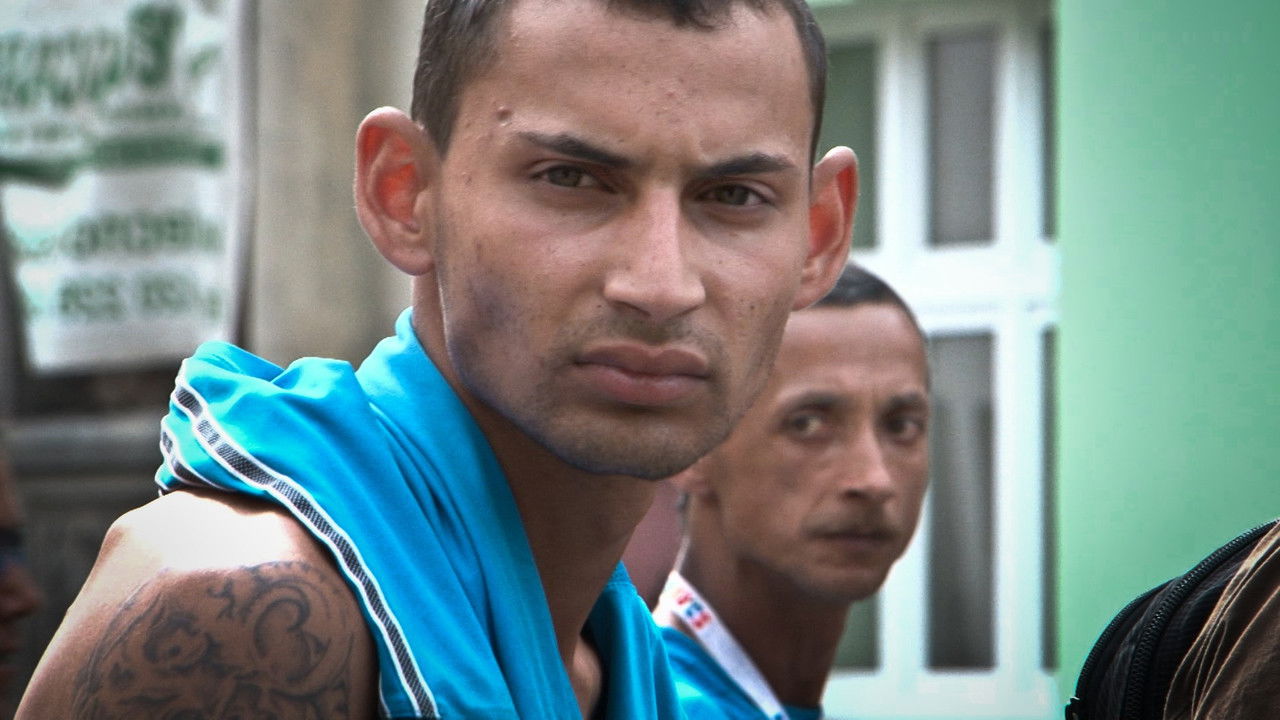 Czechs Against Czechs backdrop