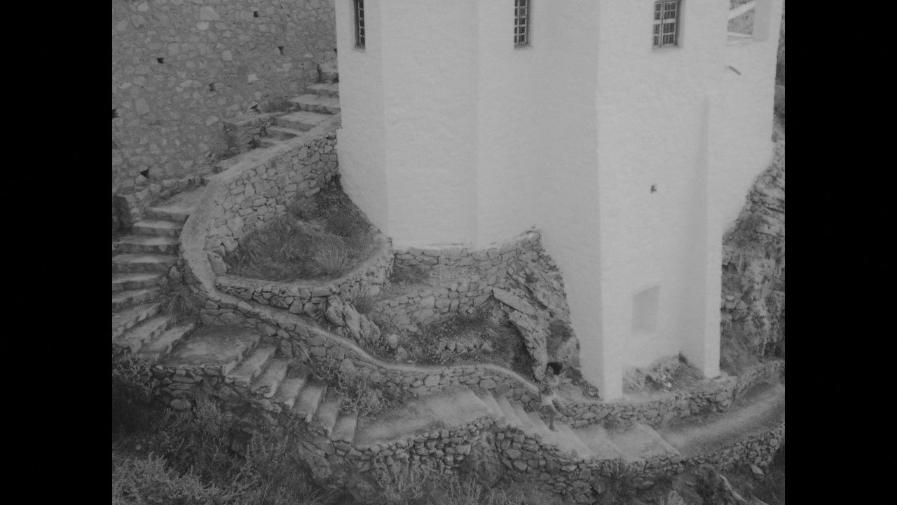 Hide and Seek backdrop