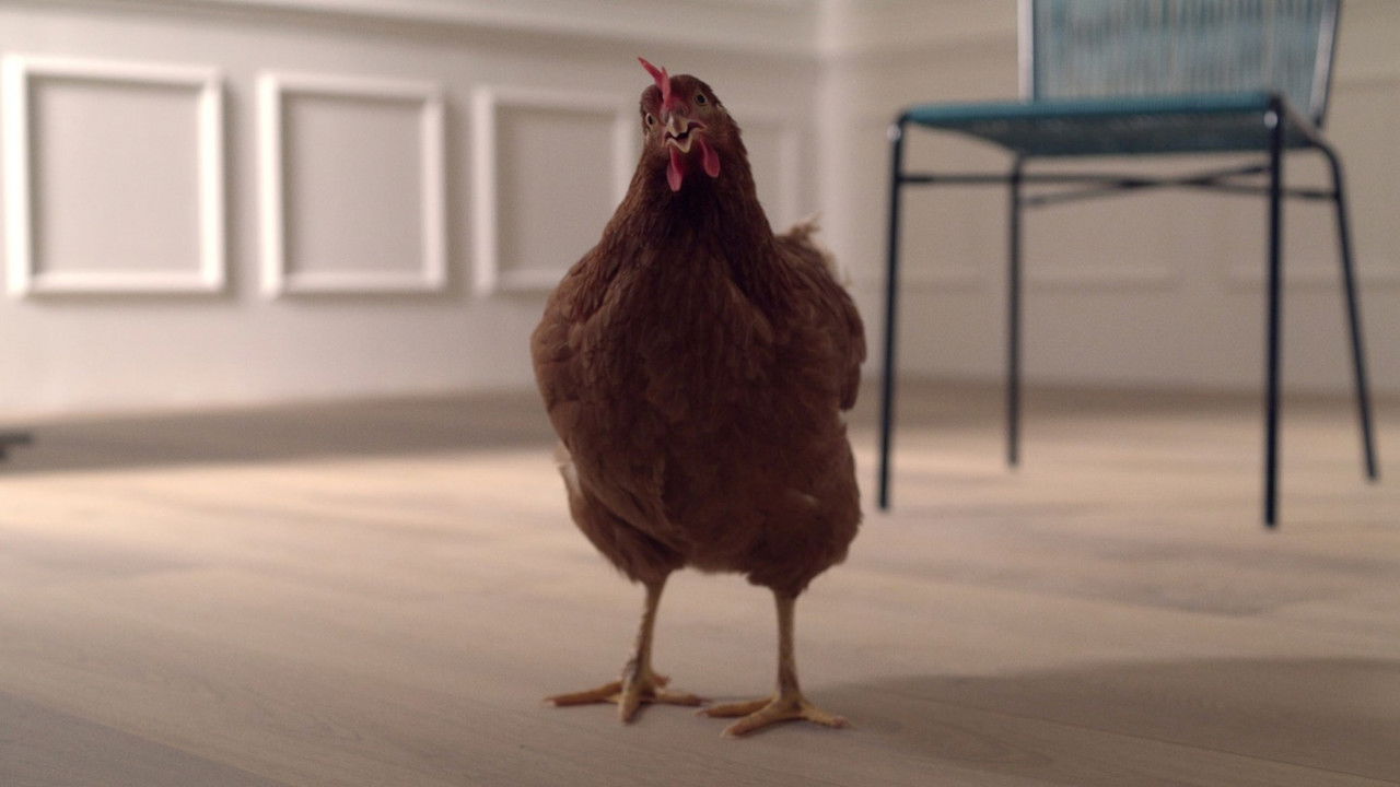 The Eye of the Hen backdrop