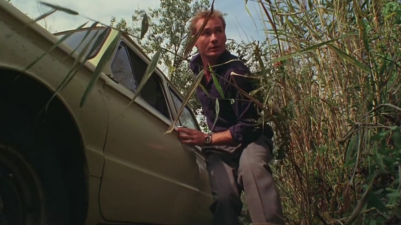 American Boy backdrop