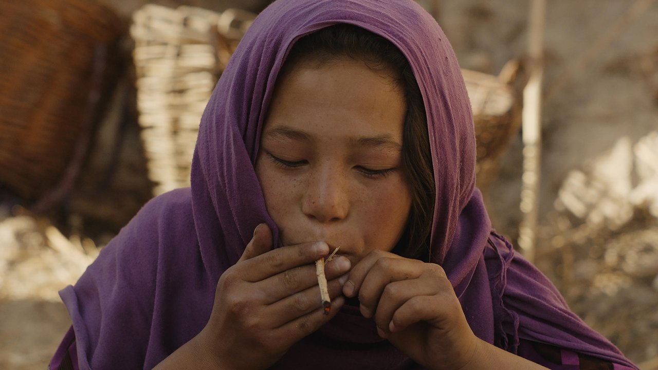 Wolf and Sheep backdrop