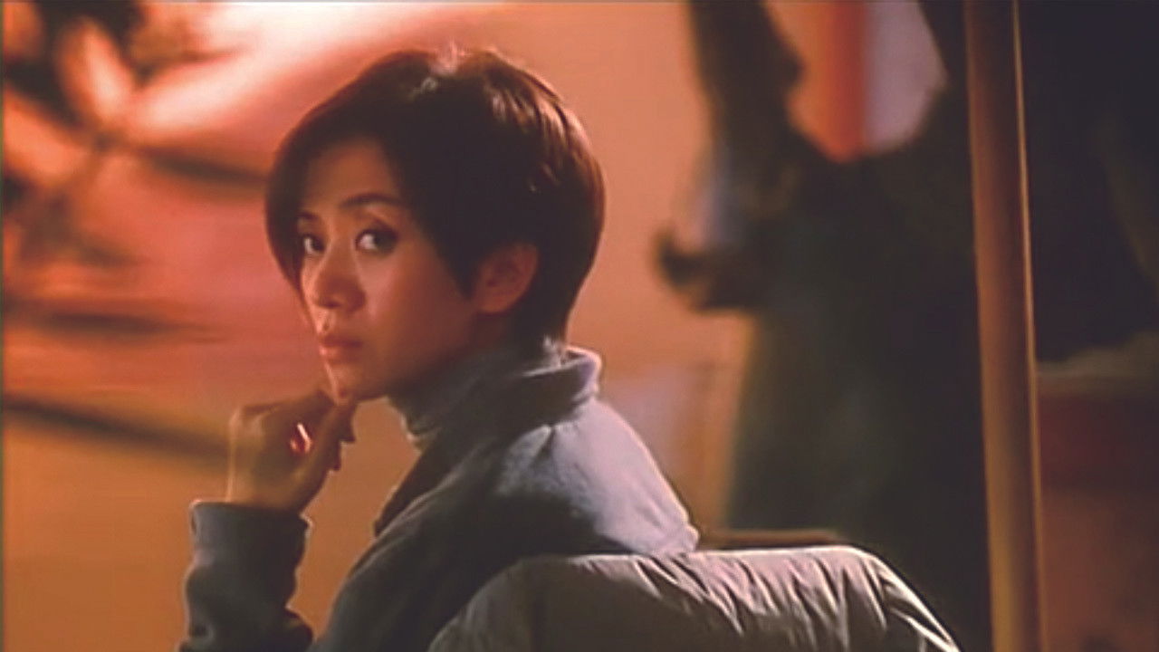 Midnight Fly backdrop