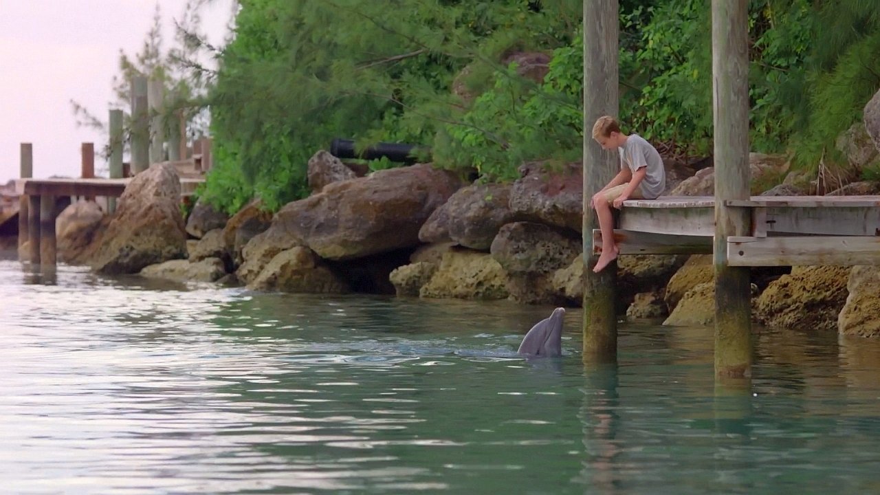 Dolphin Kick backdrop