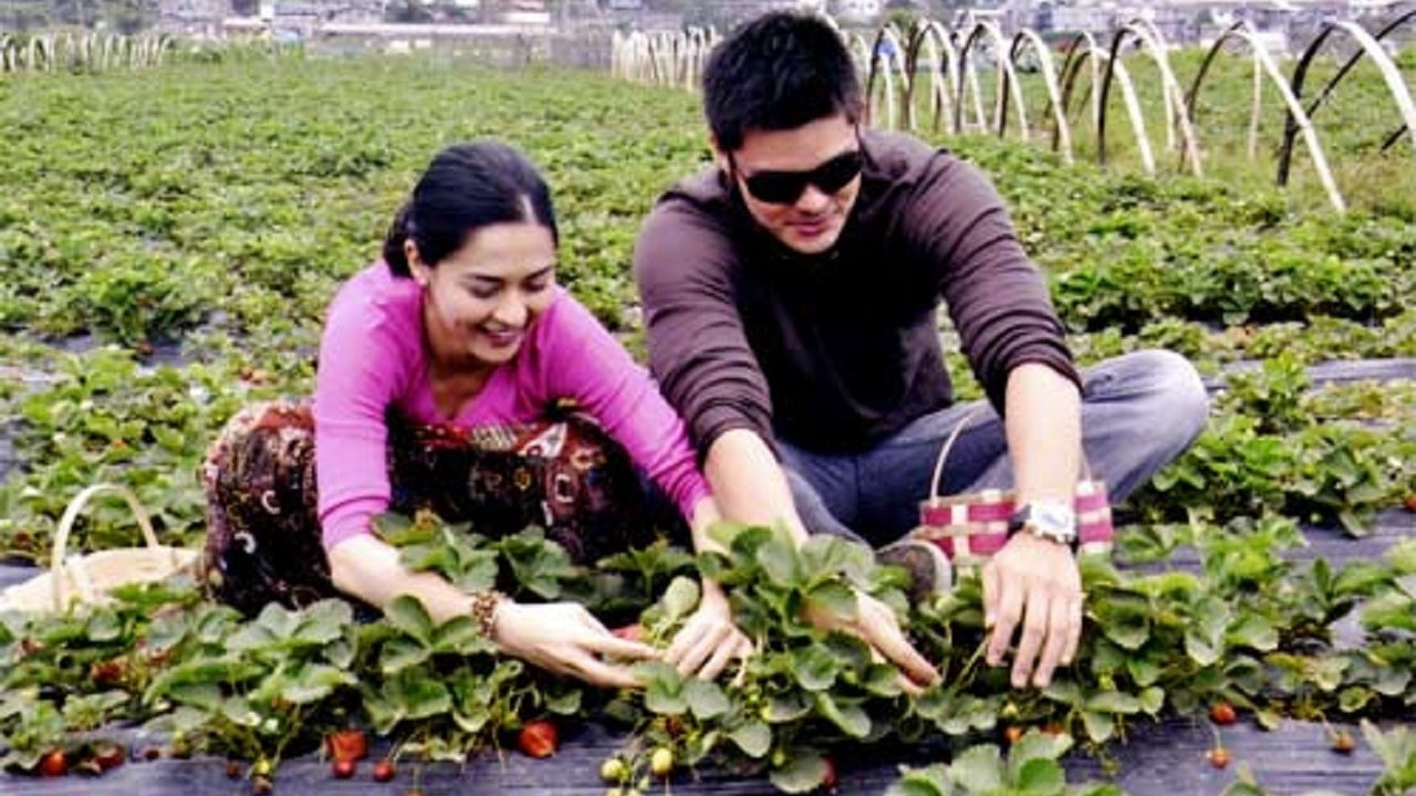 You to Me Are Everything backdrop