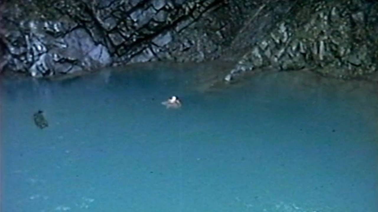 Axolotl Wooper Looper’s Lair backdrop