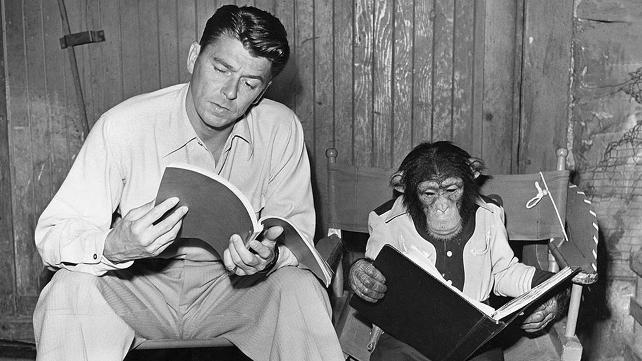 Bedtime for Bonzo backdrop