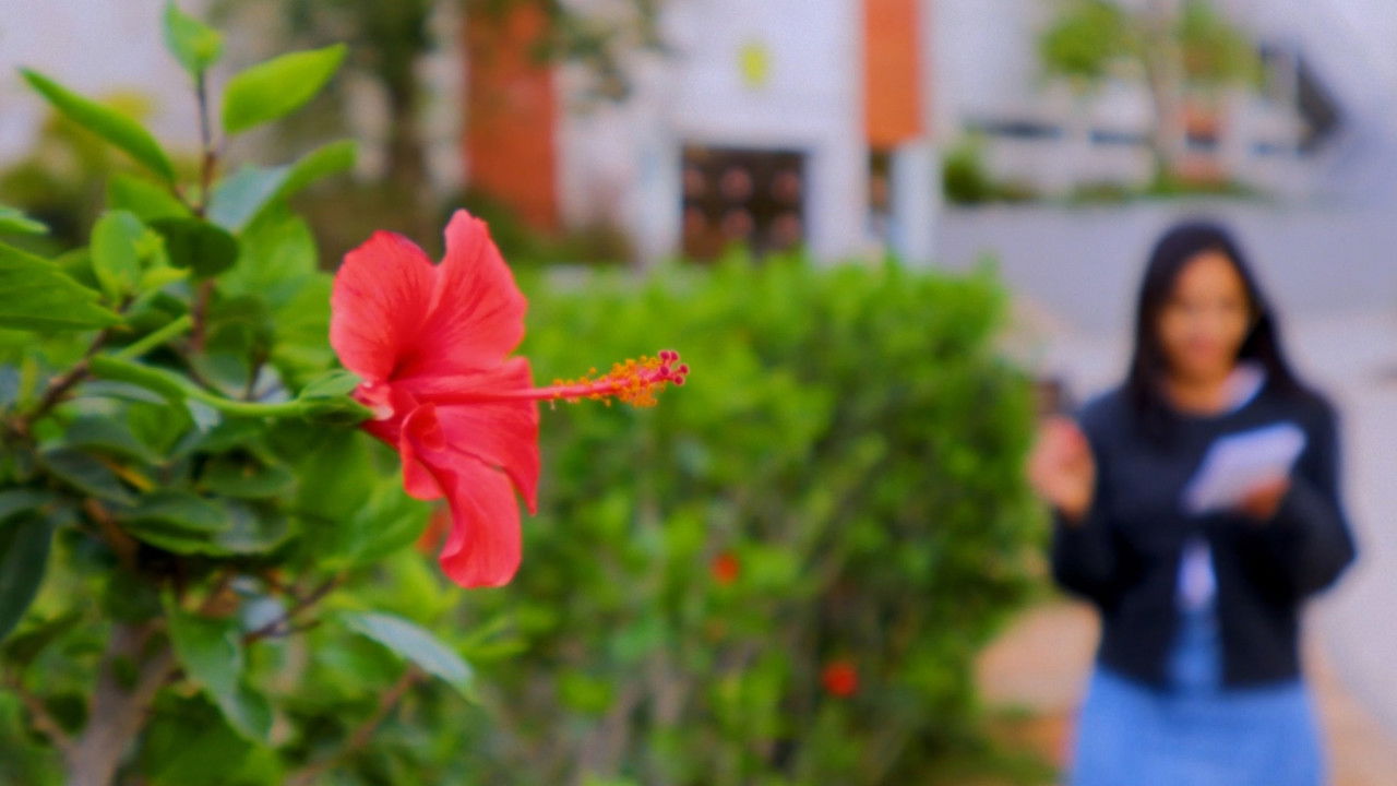 The Painter backdrop