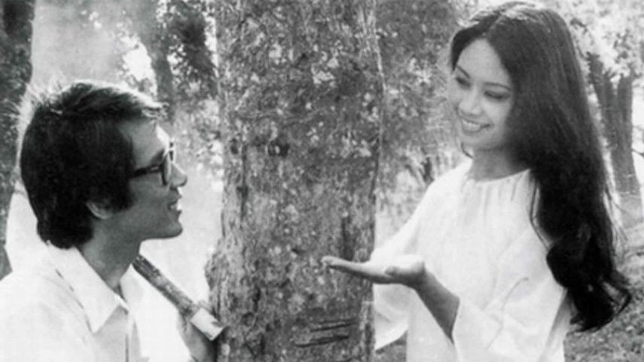 The Town Within Reach backdrop