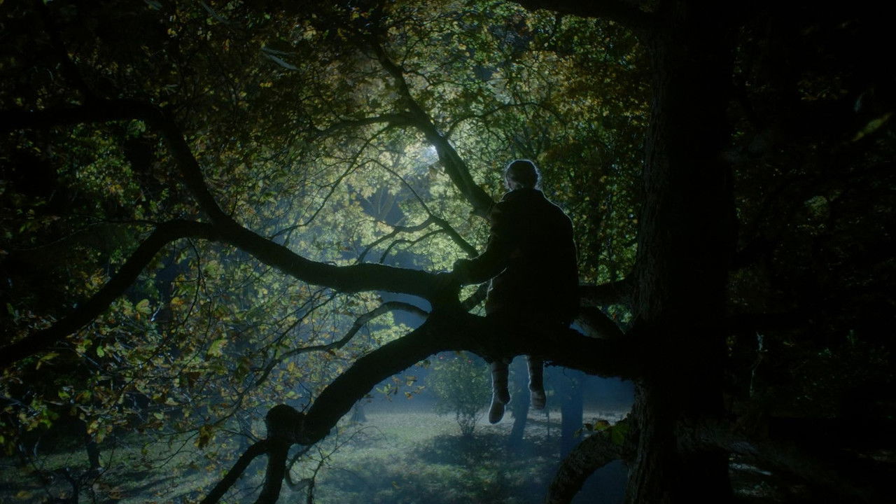 Nightingale backdrop