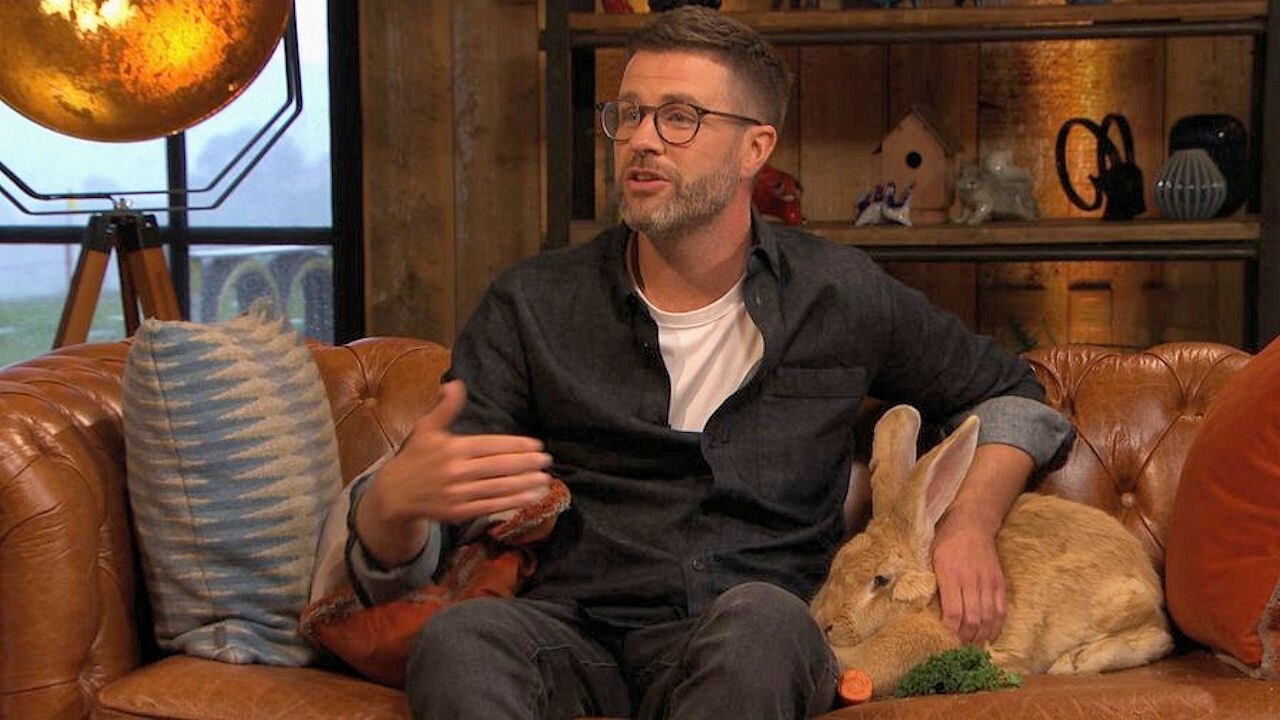 The Pet Show backdrop