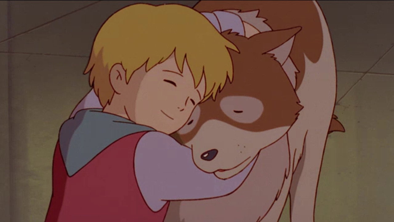 The Dog of Flanders backdrop